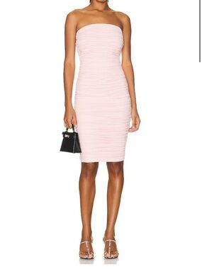 Interior Shelley Dress NWT Ruched Strapless Bodycon Dress in Pale Pink Sold Out